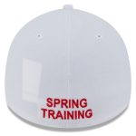 Philadelphia Phillies mens philadelphia phillies new era whitered 2025 spring training landscape 39thirty flex hat Collection - Exclusive Jerseys, Caps, and Hats
